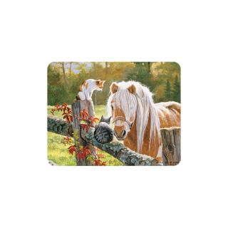 Obrázek z Magnet 3D 7x9cm - kočky a kůň (25) 